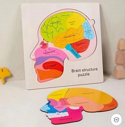 Puzzle Anatomi Otak Rp 85.000  Kit Matematika SD 24 Item Rp 799.000 (Harga Sudah Pajak)