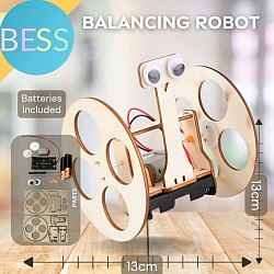 Peraga Rakitan Sains Eksperimen Robot Balancing Rp 110.000